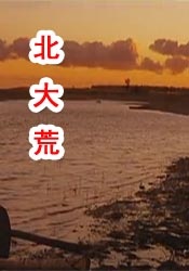 蜜桃最新网名是多少9527