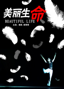 相亲大会的美人