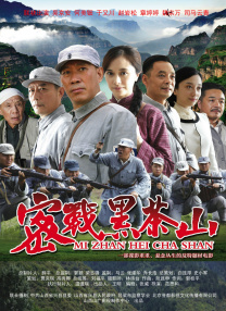 饥饿的业余阿姨