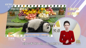 爽爽爽av